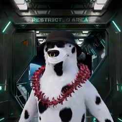 Astrobear