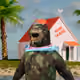 5620