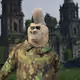 8033