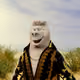 8039