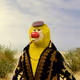 4258