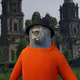 702