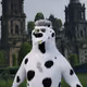 6257