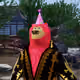 8260