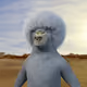 8958