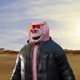 3060