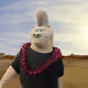 7704
