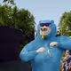 8046