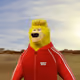243