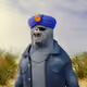 6293