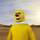 4293