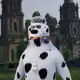 8566
