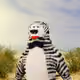 6575