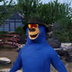 6339