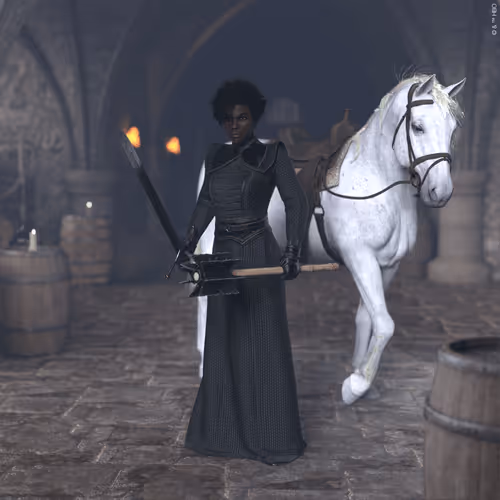 The North #77
