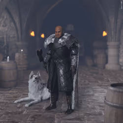The North #1763
