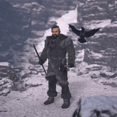 Game Of Thrones The North Series I Avatars
