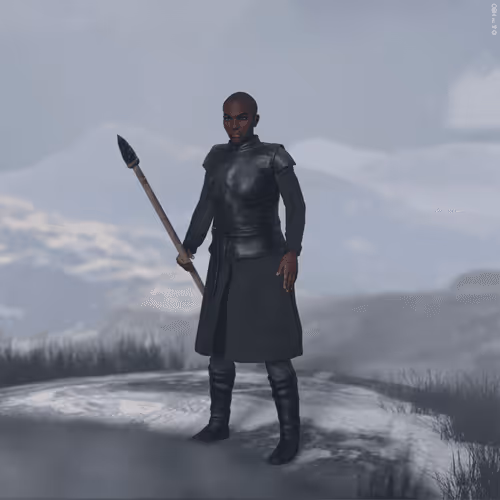 Game Of Thrones The North Series I Avatars