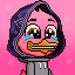CryptoDucks #2013
