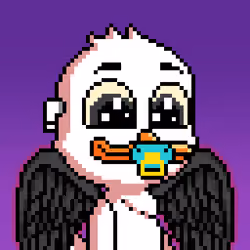CryptoDucks #317