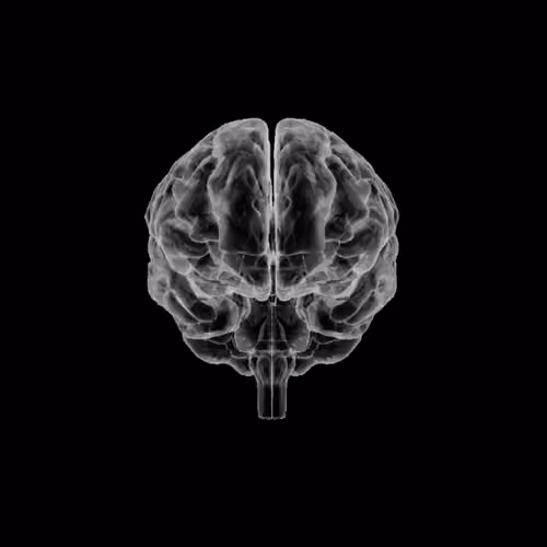 1155 placeholder