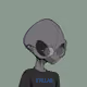 13206