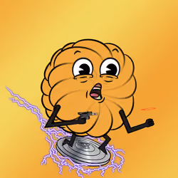 DONUT #1004
