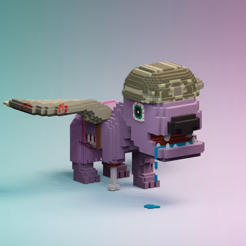 Item #555 Media