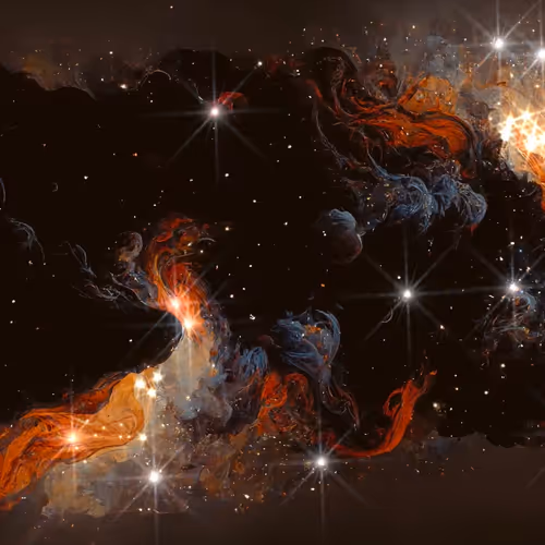 Dark Night- Celestial Blooms