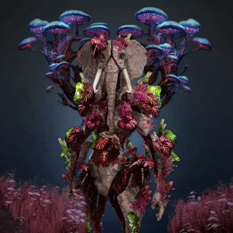 Elesapien Rwa