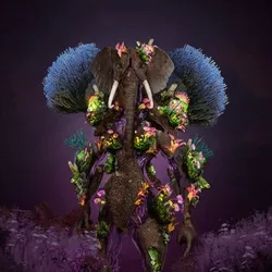 Elesapien #1312