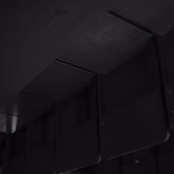 The darkness