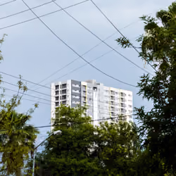 Árboles y Cables sobre edificio