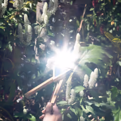 Blinding oneself to reach certainty I 2