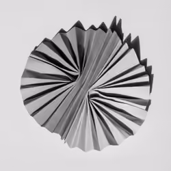 Still life accordion
