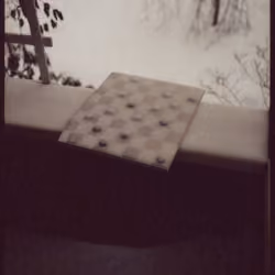 Untitled 35