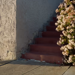 Stairs, Berkeley, California