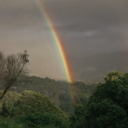Rainbow 02
