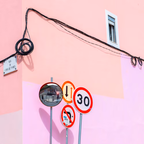Rose, Salmon, Flamingo, Ballerina, Bubblegum 2