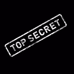 SecretWords #1256