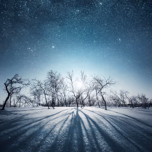 Mikko Lagerstedt Long Shadows Edition