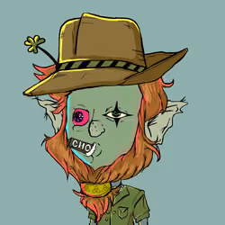 LeprechaunTown_WTF #606