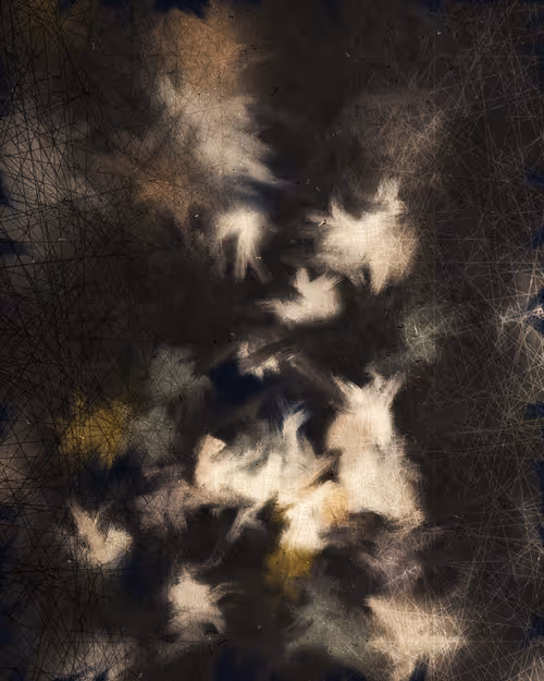 Item #507222286 Media