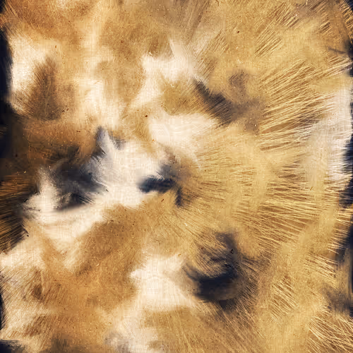 Melissa Wiederrecht Cosmic Rays Verse