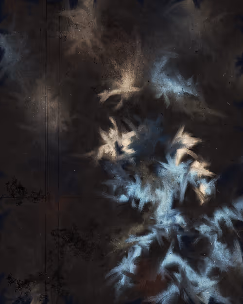 Item #2795065021 Media