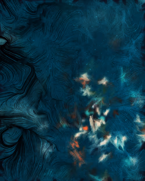 Item #377838563 Media