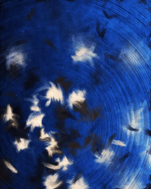 Item #2101211220 Media