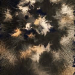 Cosmic Rays #219