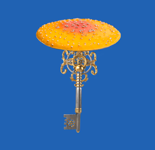Item #4284 Media