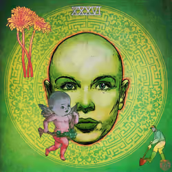 #555